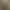 Subskrybent 4